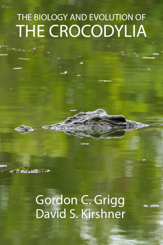 Book cover idea 9.jpg