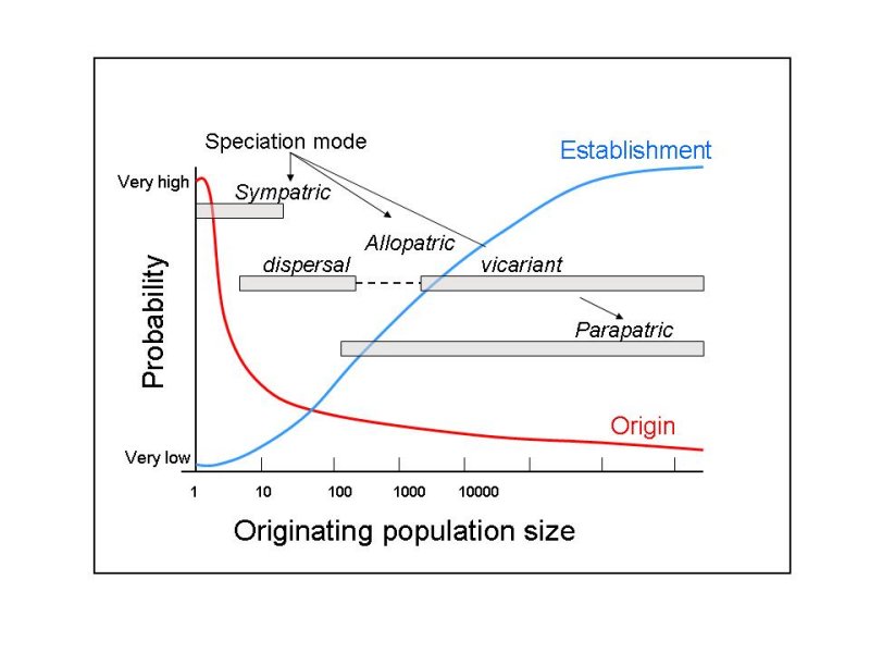 SpeciesMechanics.jpg