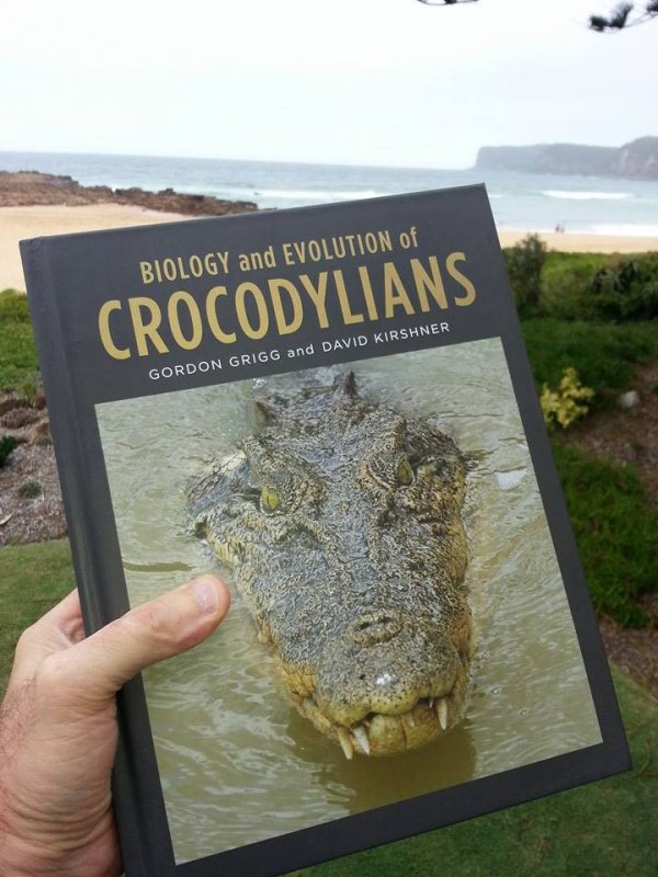 croc book cover.jpg