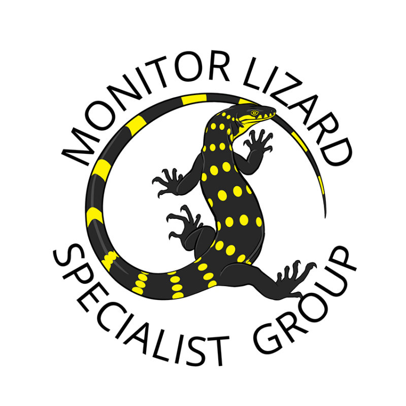 MLSG logo yellow spots 2.jpg