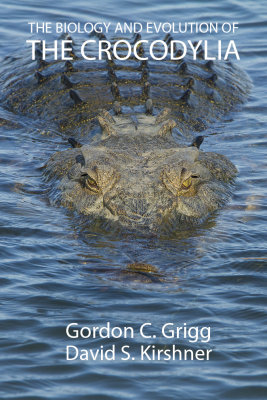 Book cover idea 1.jpg