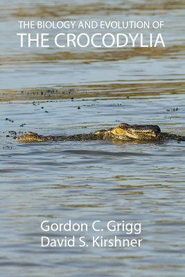 Book cover idea 10.jpg