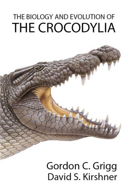 Book cover idea 6.jpg
