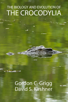 Book cover idea 9.jpg