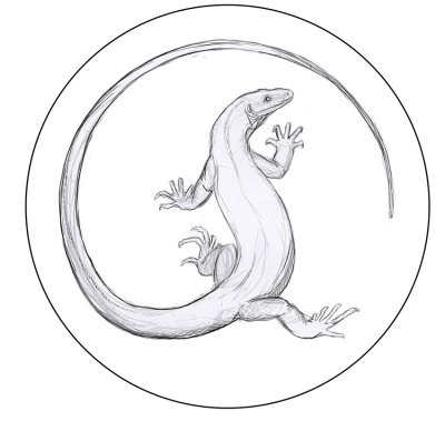 medallion sketch.jpg