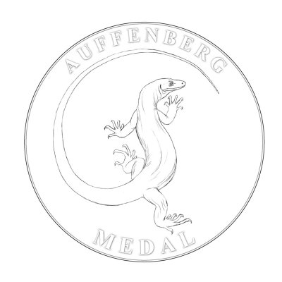 Auffenberg medal 2.jpg