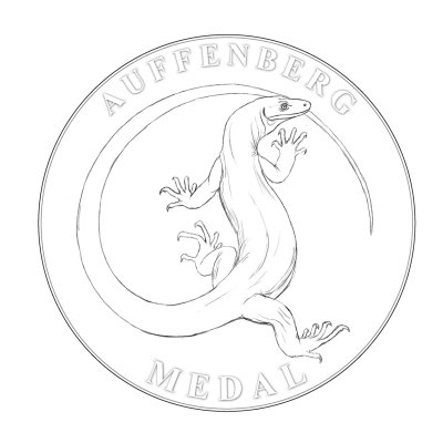 Auffenberg medal 4.jpg