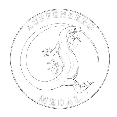 Auffenberg medal 5.jpg