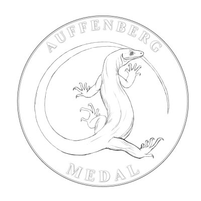 Auffenberg medal 6.jpg