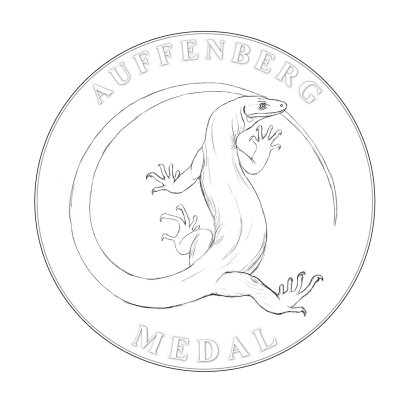 Auffenberg medal 7.jpg