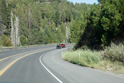 _MG_6105.jpg