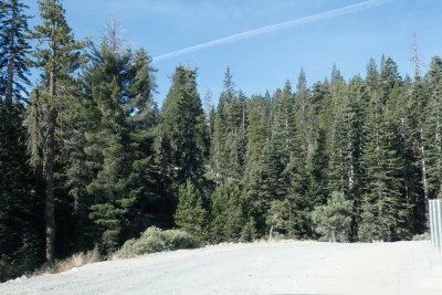 _MG_6141.jpg