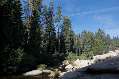 _MG_6150.jpg