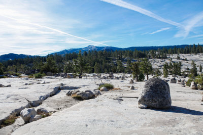 _MG_6167.jpg