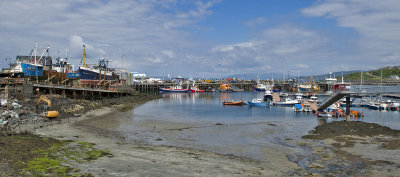 Mallaig harbour