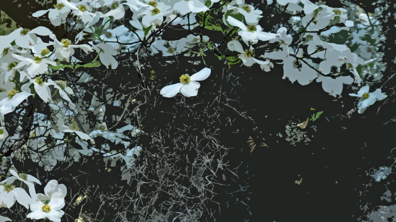 P2160519coPDcr.png