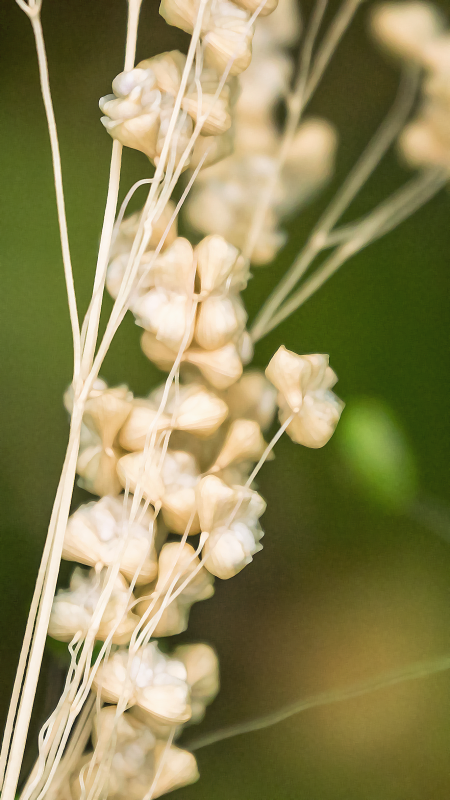 P2190442.png