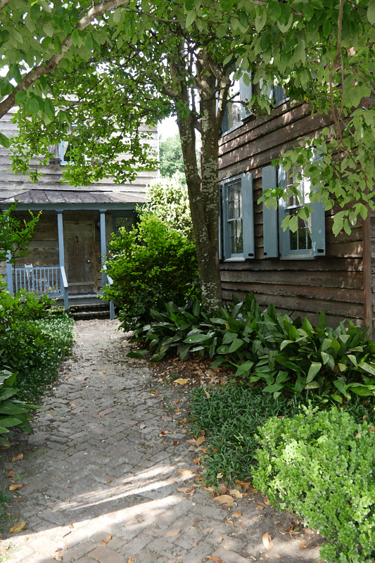 P1040058.png