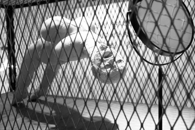 DSCF1821_Arched Figure de Louise Bourgeois.jpg
