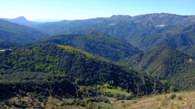 Carretera Ronda-Algeciras