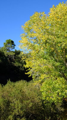 En el Valle del Ro Genal