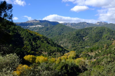 Valle del Ro Genal