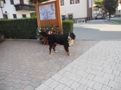 2012-04-10 01:45