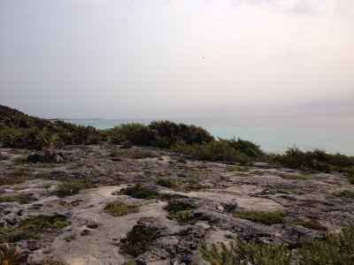 2013-05-06 15:23