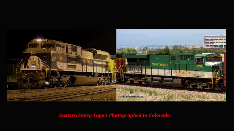 hairy_tage_colorado.jpg