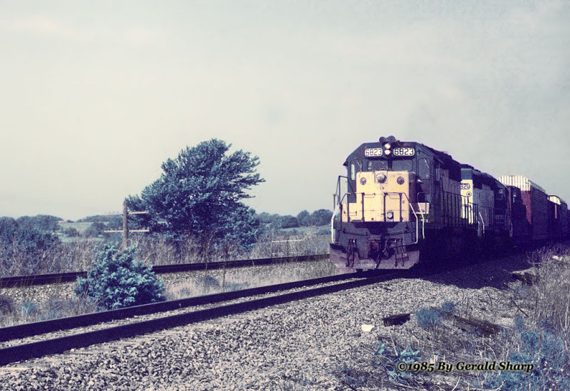 cnw6823_east_at_polo_mo.jpg