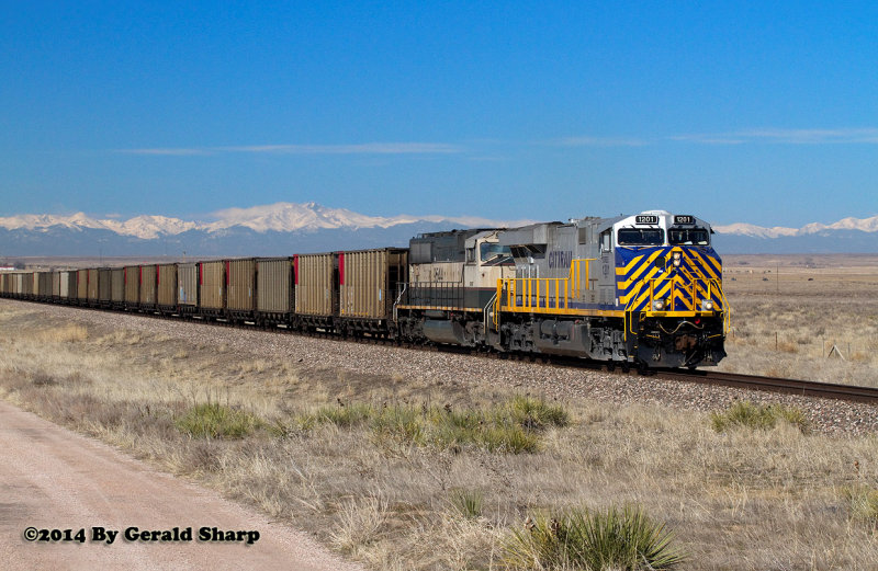 crex1201_east_near_roggen_co_2.jpg