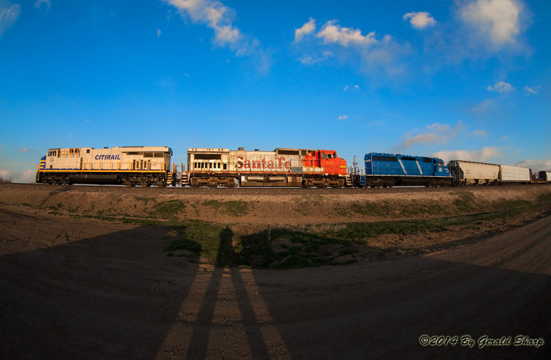 crex1346_north_near_little_thompson_co.jpg
