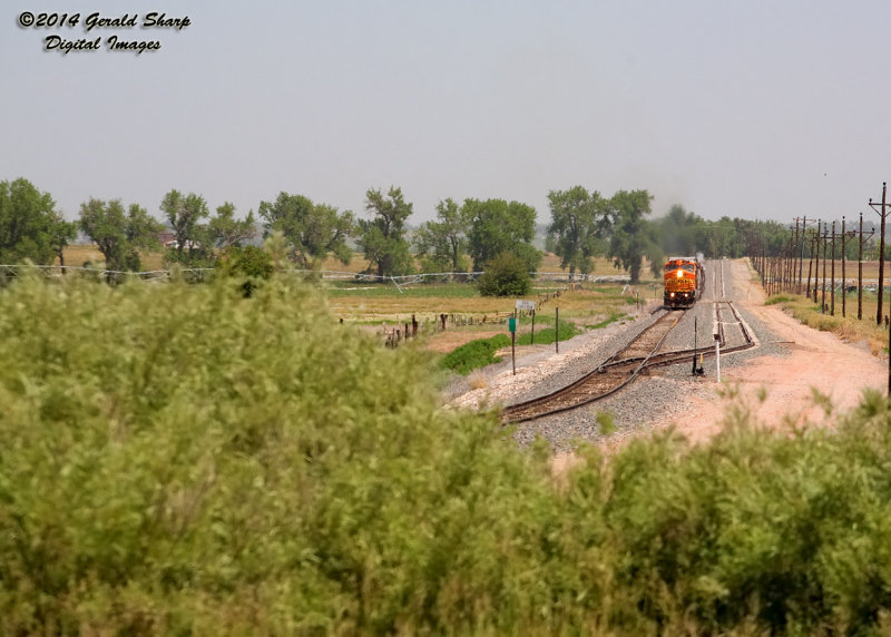 bnsf877_south_cheden_at_longs_peak_co.jpg