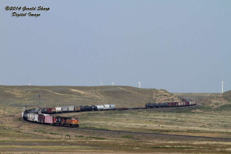BNSF 4981 South Near Peetz, CO