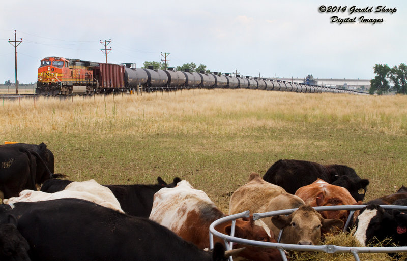 bnsf5361_north_at_longs_peak_co.jpg