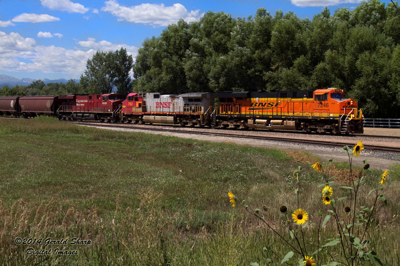 bnsf7246_north_at_nss_highland_co.jpg