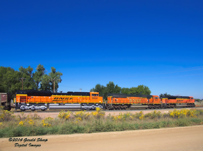 bnsf_north_coal_empty_at_sss_longs_peak_co.jpg