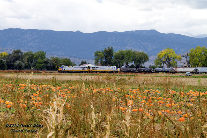 CREX 1435 South LAUDEN And Pumpkin Patch Near Longmont, CO