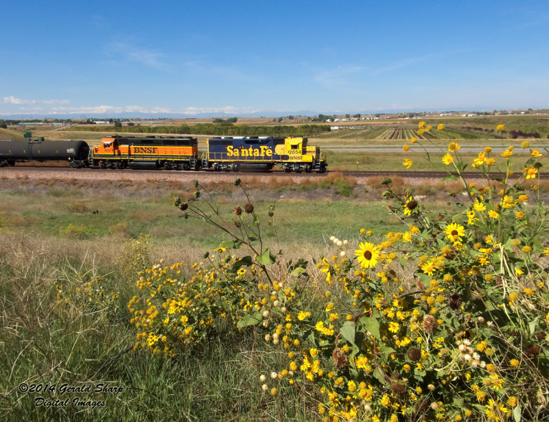 bnsf2854_east_hudson_turn_at_tonville_co.jpg