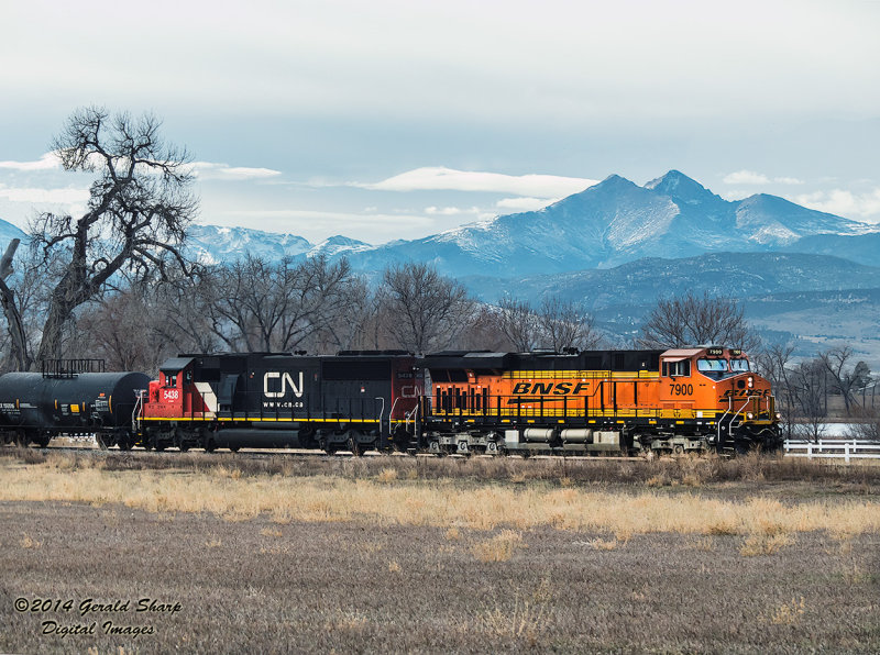 BNSF 7900 North At Highland, CO