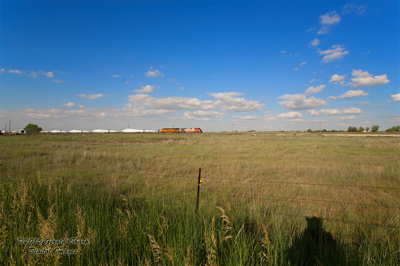 BNSF 730 South At SSS Longs Peak, CO