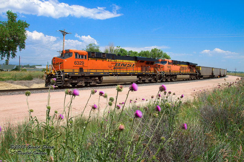 BNSF 6329 At Highland, CO