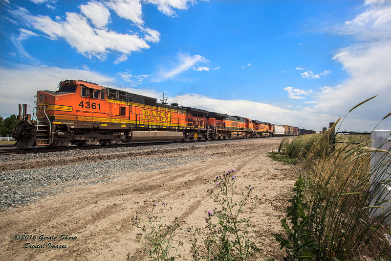 BNSF 4361 North At NSS Longs Peak, CO