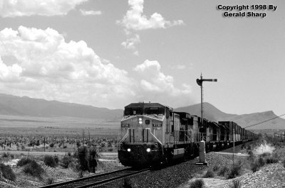 Union Pacific Black And White