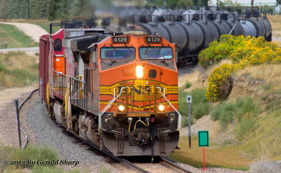 BNSF 4129 South At The North Siding Switch Long's Peak. 