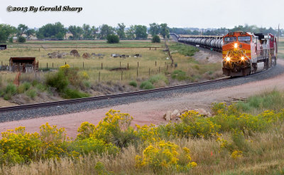 BNSF 4129 South At The South Siding Switch Long's Peak
