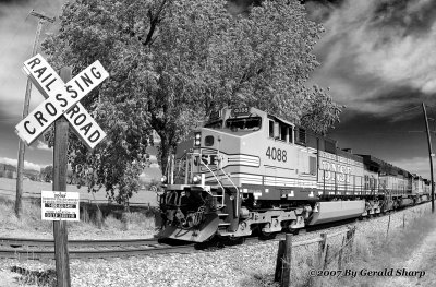 BNSF Black And White