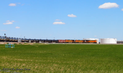 BNSF 7432 East At The Tampa Oil Loading Terminal