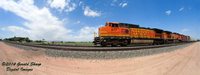 BNSF 877 South (CHEDEN) At South Siding Switch Longs Peak