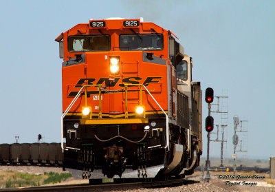bnsf9125_west_at_tampa_co.jpg